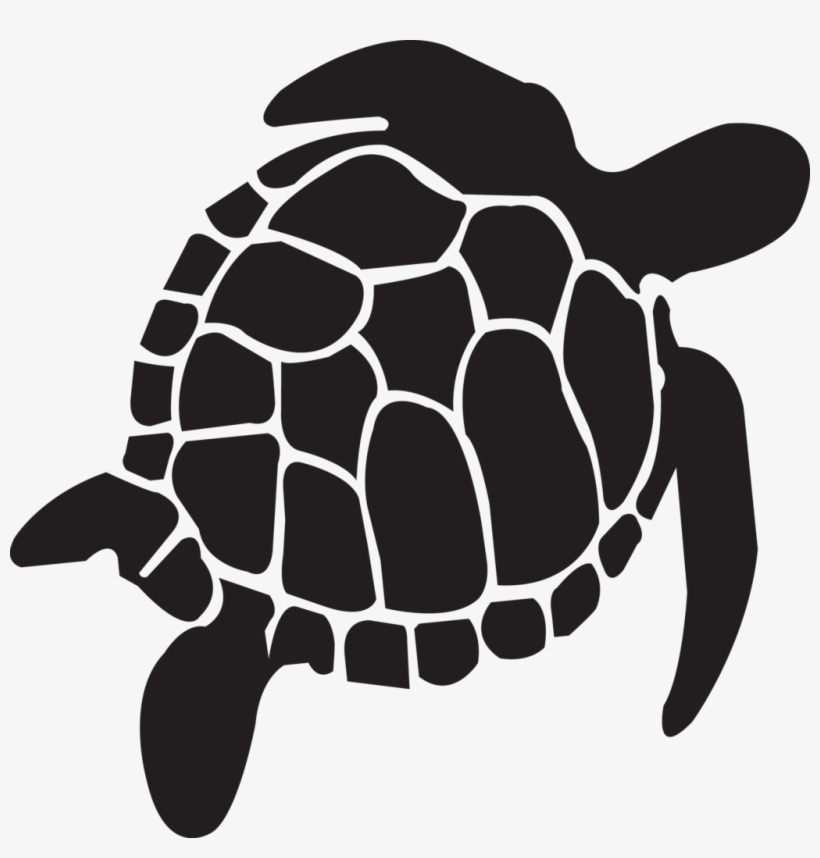 Black Sea Turtle Png, transparent png download