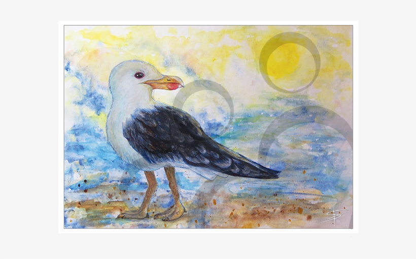 Seagull - Gull, transparent png download