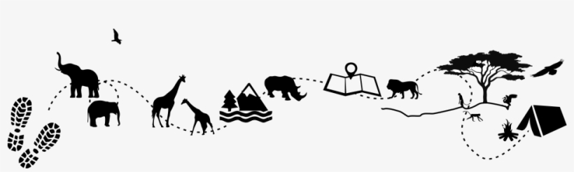 It Is Renowned For Offering First Class Beach Holidays - Giraffe, transparent png download