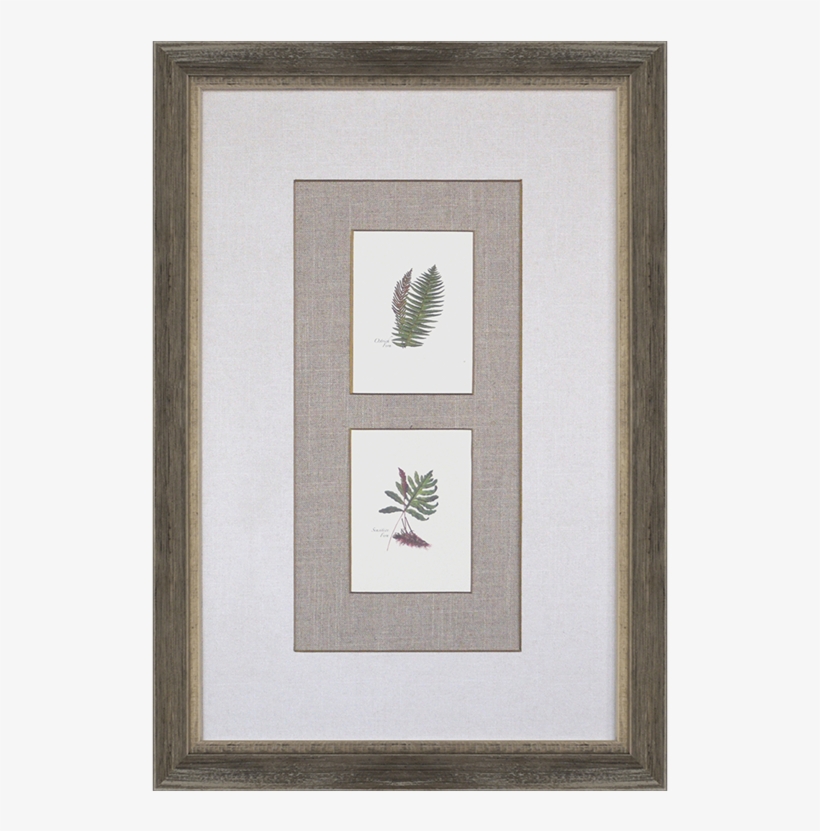 Gracie Oaks 'ferns' 2 Piece Graphic Art Print Set, transparent png download