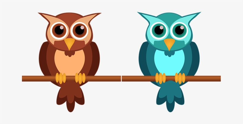 Owl Cute Nocturnal Bird Animal Design Cart - นก ฮูก การ์ตูน น่า รัก, transparent png download