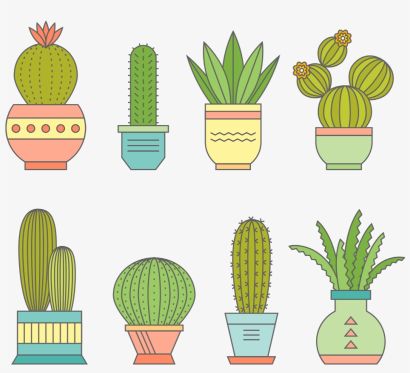 Vector Free Library Iphone G Cactaceae A Bowl Of Flowers - 多肉 植物 手繪, transparent png download