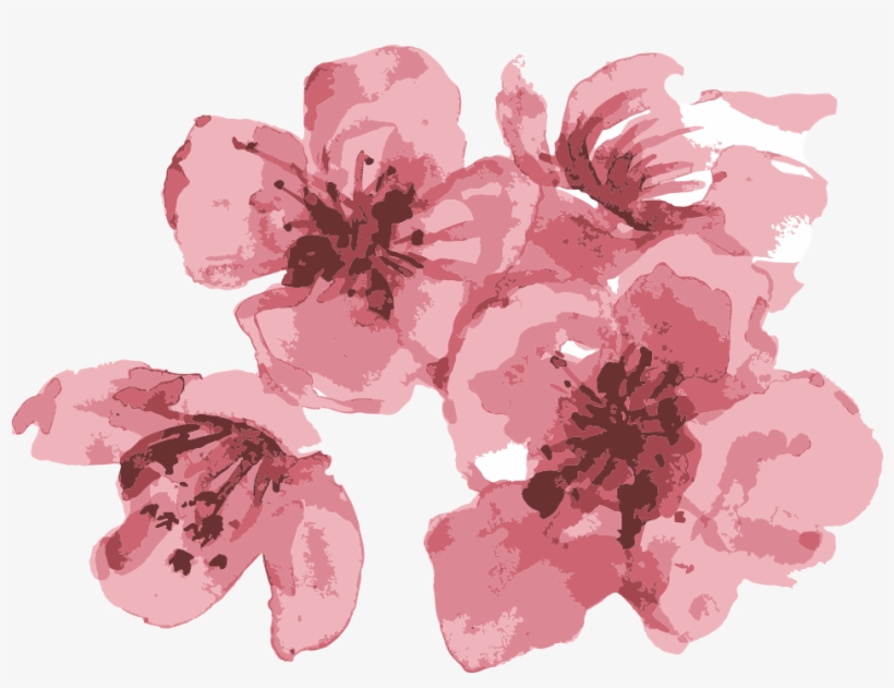 Visit Our Event Site - Cherry Blossom, transparent png download