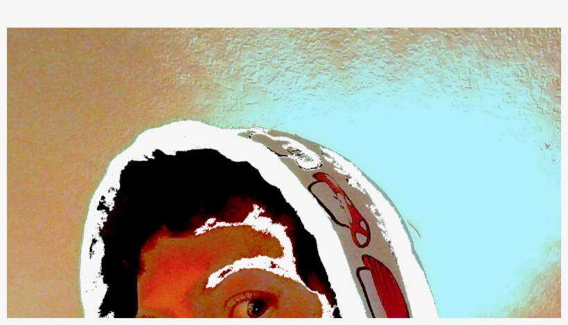 Red Snapper, transparent png download