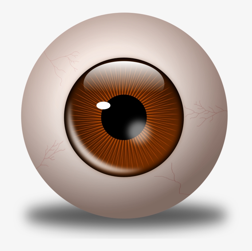 Brown Eyes Clipart Brown Eyeball - Eye, transparent png download