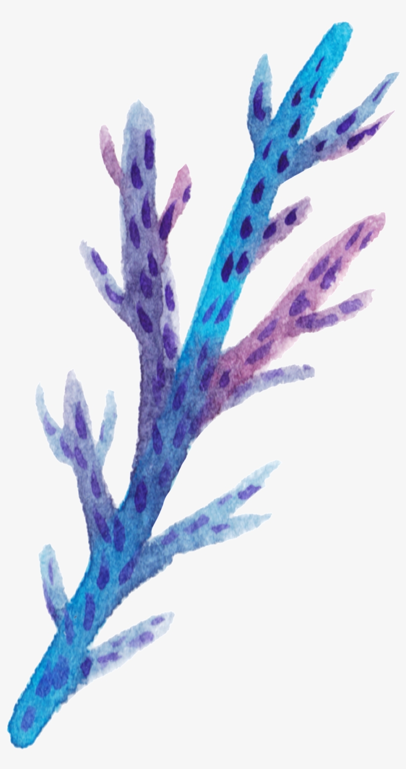 Blue Coral Cartoon Transparent - Coral Transparent, transparent png download