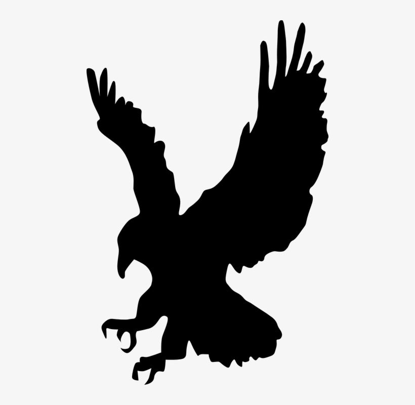Hawk Clipart Wings Hawk Clipart Silhouette PNG Image Transparent