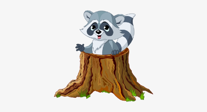 Raccoon - Raccoon Clipart, transparent png download