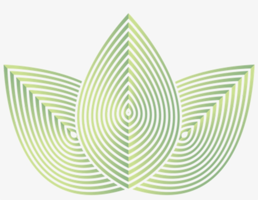 Hard Bristle Pipe Cleaners - Zen Leaf, transparent png download