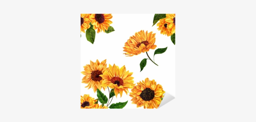 Download Seamless Pattern With Hand Drawn Watercolor Sunflowers ...