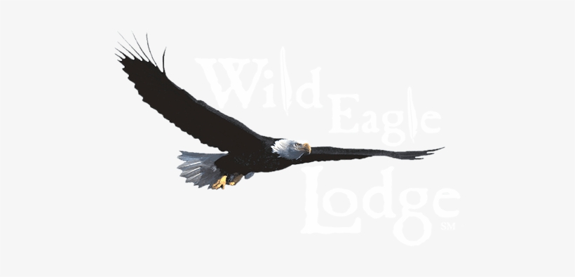 Lodging - Wild Eagle, transparent png download