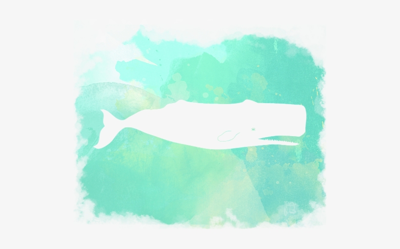 Click And Drag To Re-position The Image, If Desired - Beluga Whale, transparent png download