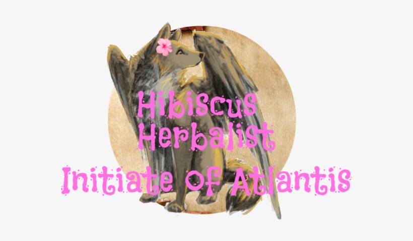 Hibiscus - Photo Caption, transparent png download