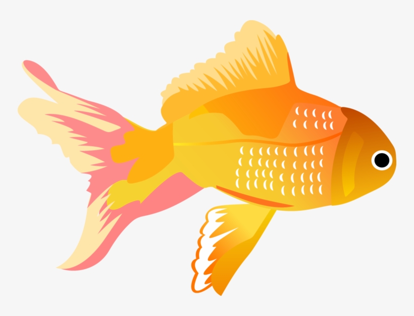 Publicat De Eu Ciresica La - Vector Fish, transparent png download