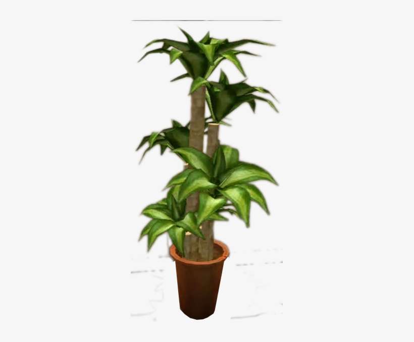 Dead Rising Potted Plant 6 - Potted Plants Png File, transparent png download