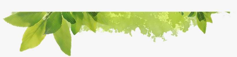 Website Design By - Leaf Web Design, transparent png download