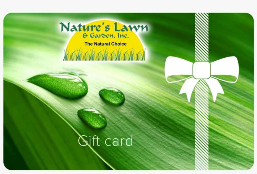 Gift Card - Seg 19 Inch Led Tv, transparent png download