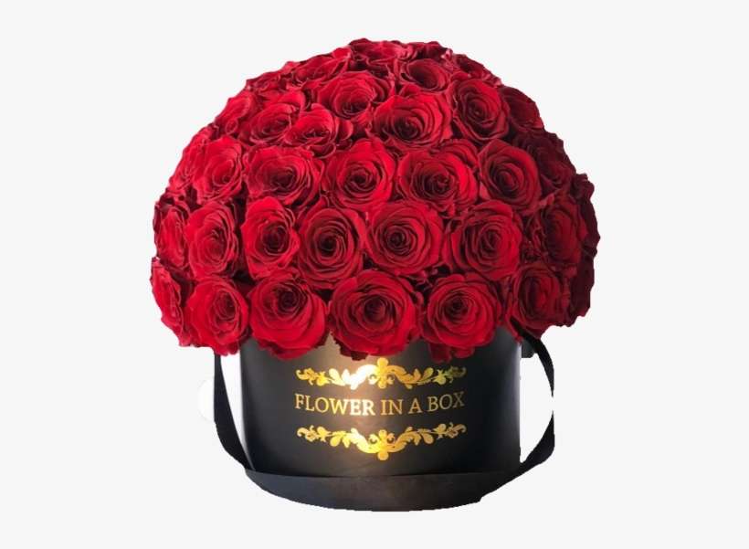 Deluxe Rose Arrangement - Flower, transparent png download