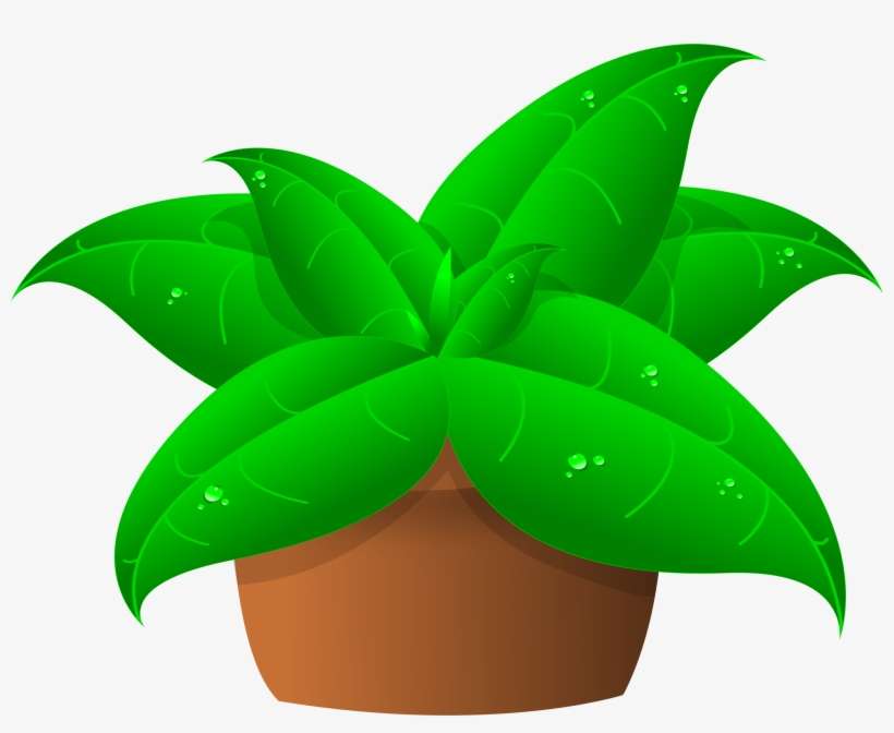 Pot Plant Clipart Bucket Flower - Plant Clipart, transparent png download