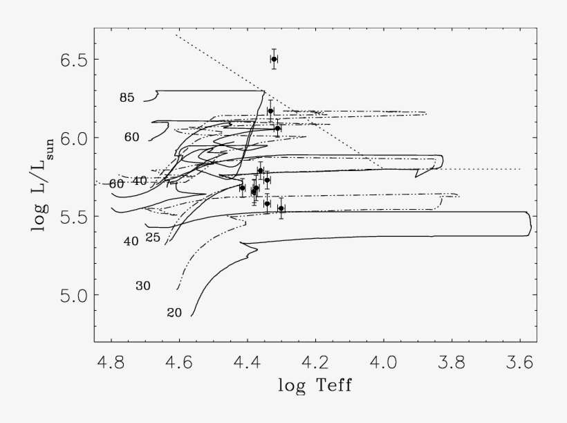 Location Of The Stars In A Theoretical Hrd - Common Fig, transparent png download