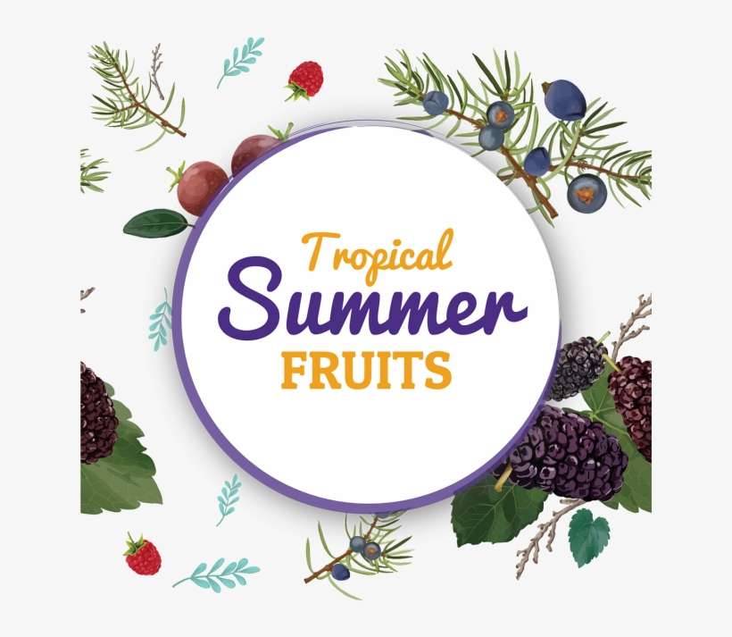 Summer Fruit Pattern Background, Summer, Festival, - Summer, transparent png download