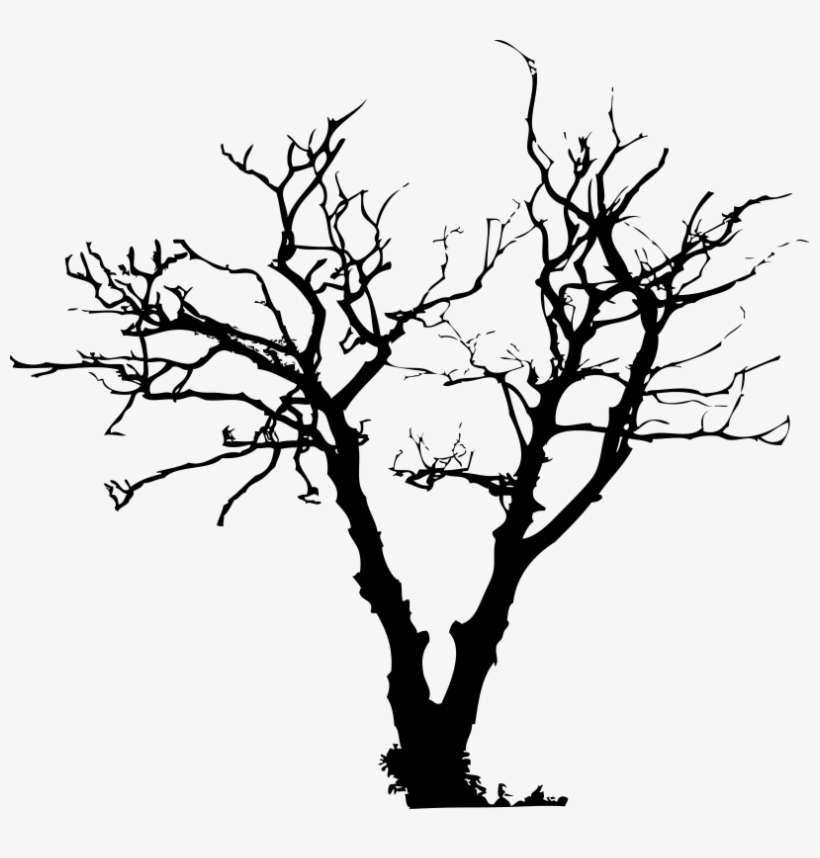 Cing Real Trees With Illustrator And Tuningthem Into - Guitar Bag Design, transparent png download