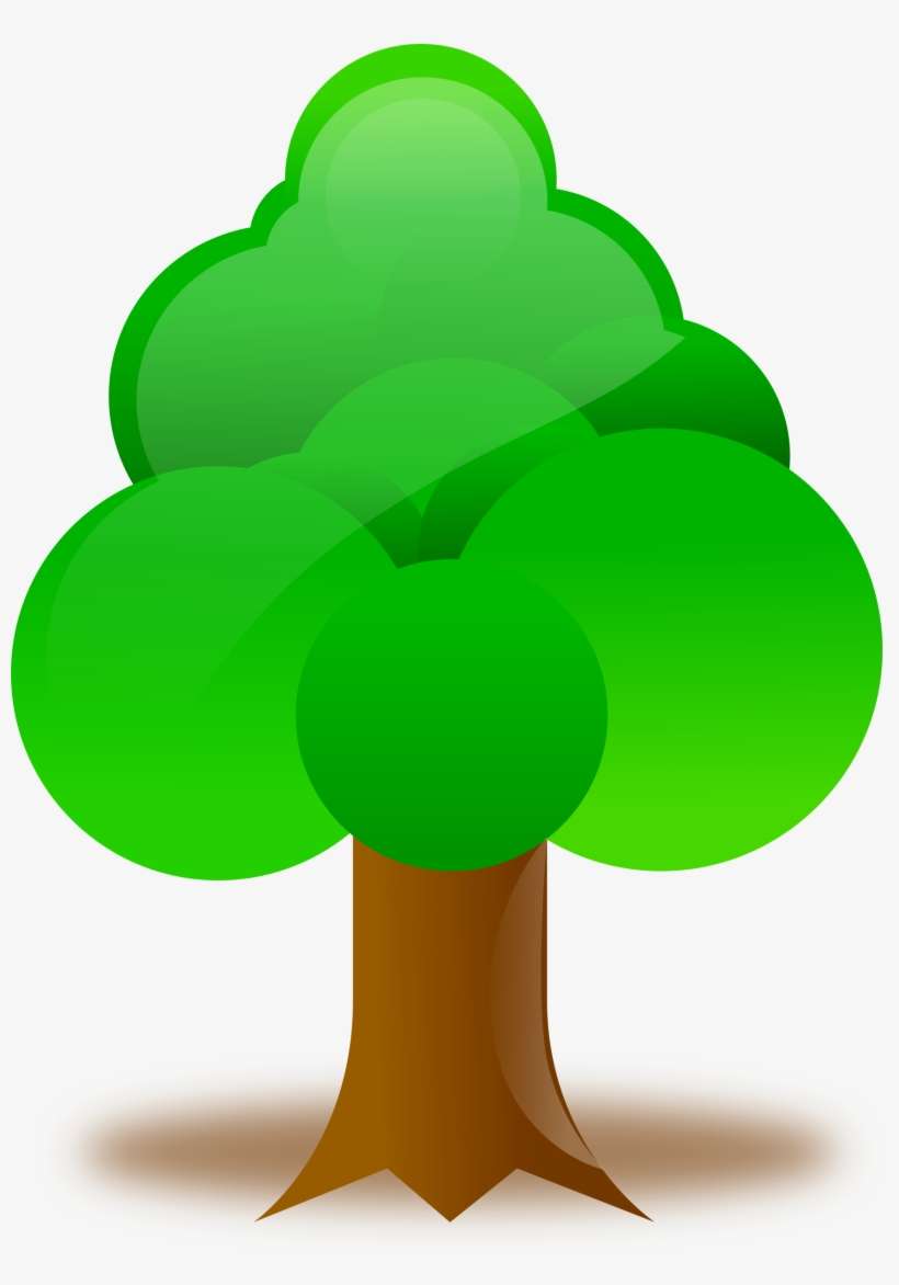 Importance Value Of Trees - صورة شجرة, transparent png download