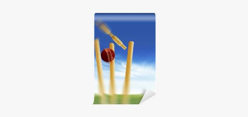 Bat And Ball And Stumps, transparent png download