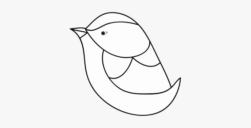 Bird, Spring, Summer, Nature, Animals - Vector Graphics, transparent png download