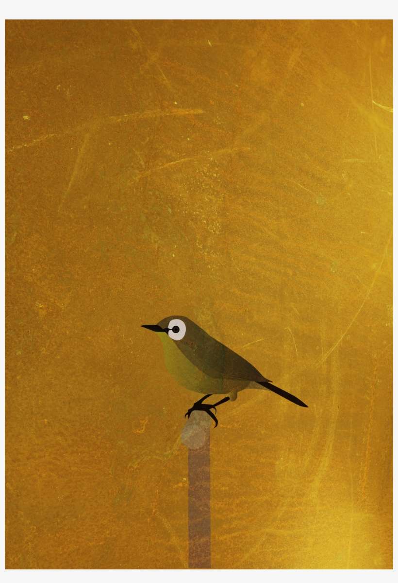 Nightingale, transparent png download