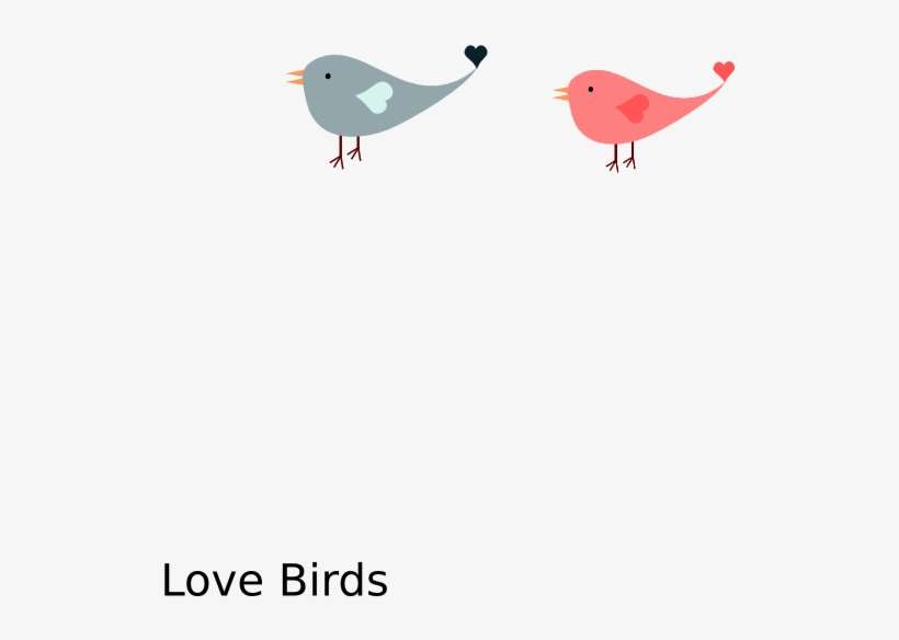 Love Bird Cartoon Png, transparent png download