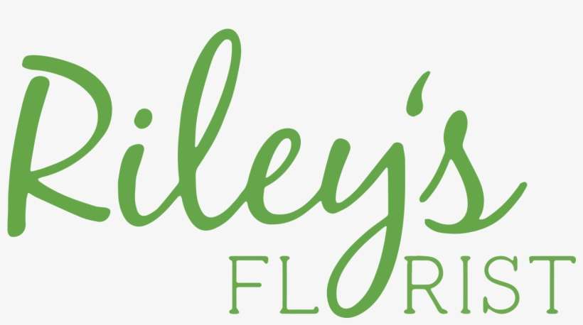 St Louis, Mo Florist - Marble Painting Rainbow, transparent png download