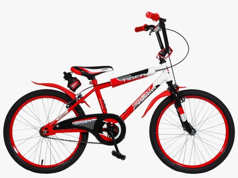 scott spark 40 price