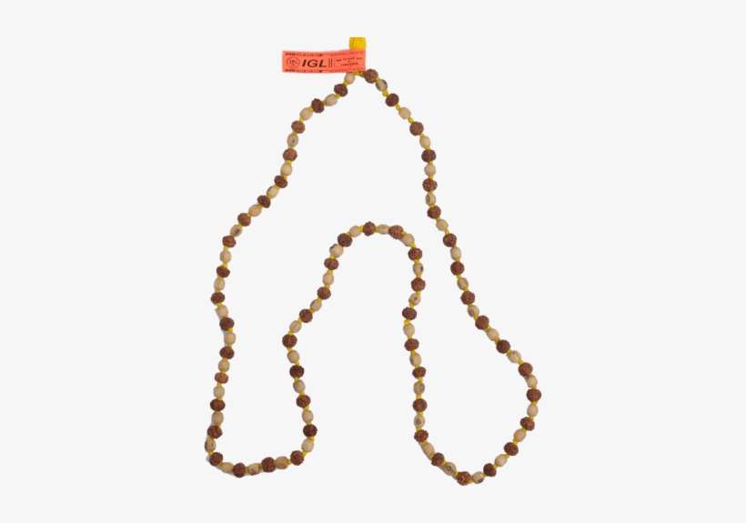 Combined Tulsi And Rudraksh Mala, transparent png download
