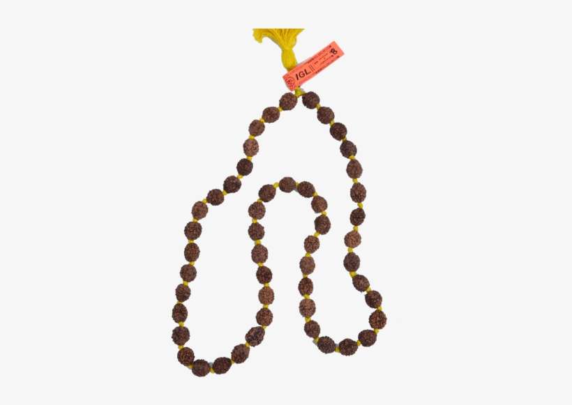 Bead, transparent png download