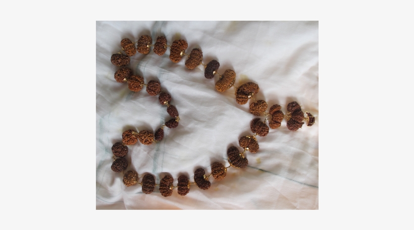 Indra Mala Rudraksha Collection - Indra Mala, transparent png download