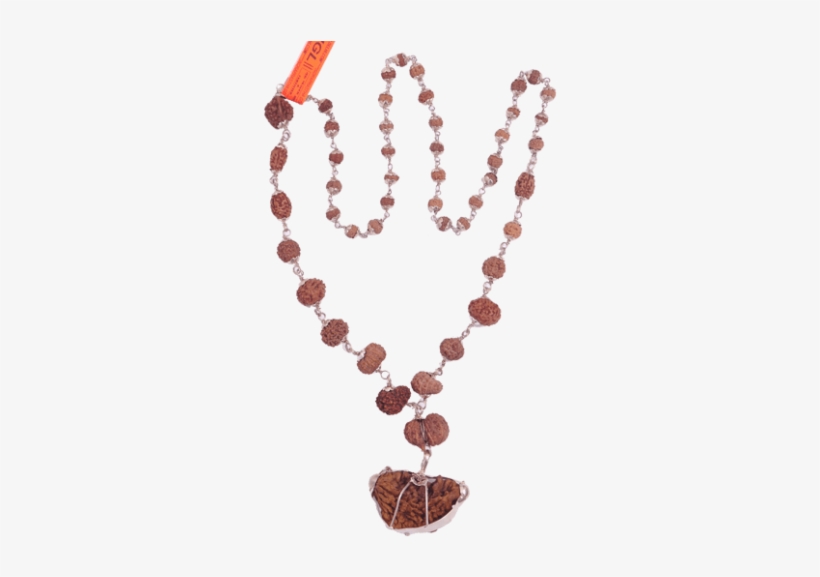 Multi Combination Multiple Purpose Rudraksha Mala 49 - Rudraksha, transparent png download