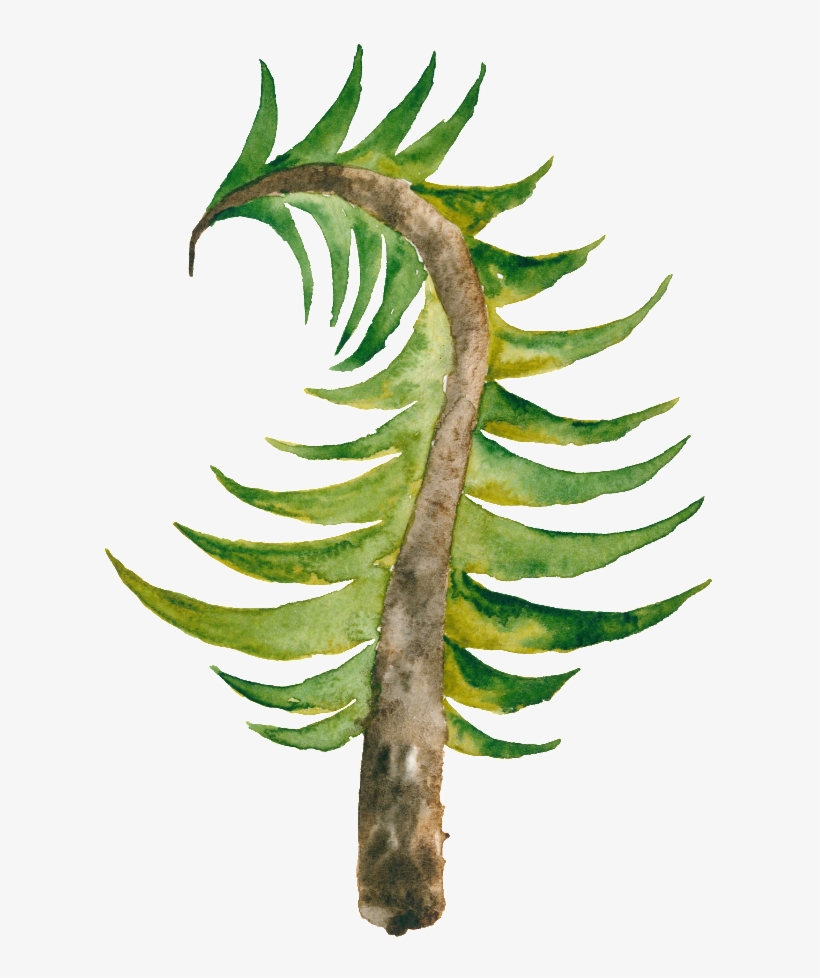 Curved Christmas Tree Hand Drawn Christmas Tree Transparent - Christmas Day, transparent png download