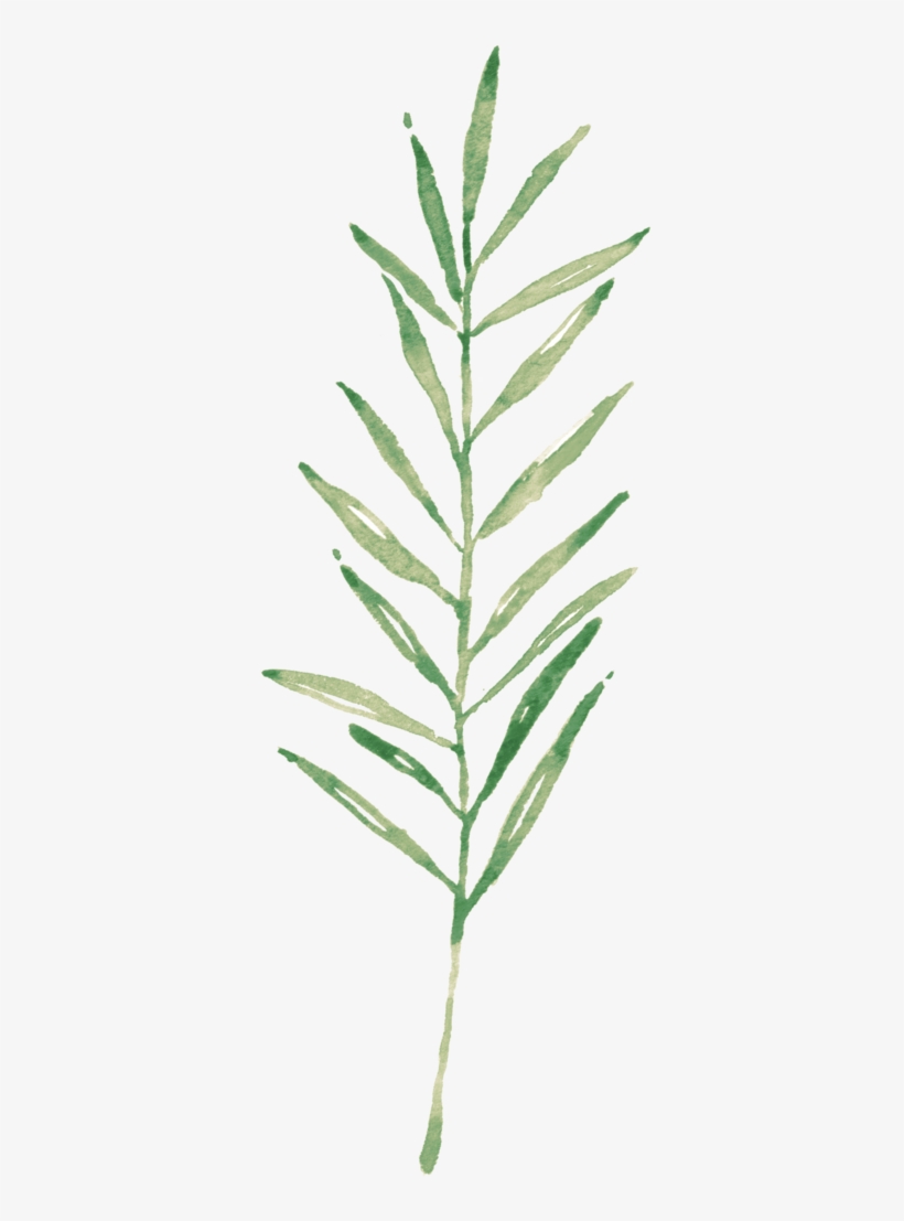 Fernland-elements - Chemical Element, transparent png download