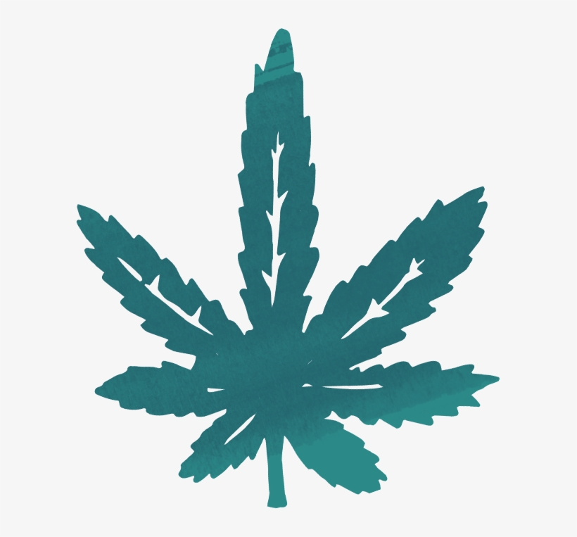 Recreational Cannabis - Maple Leaf, transparent png download