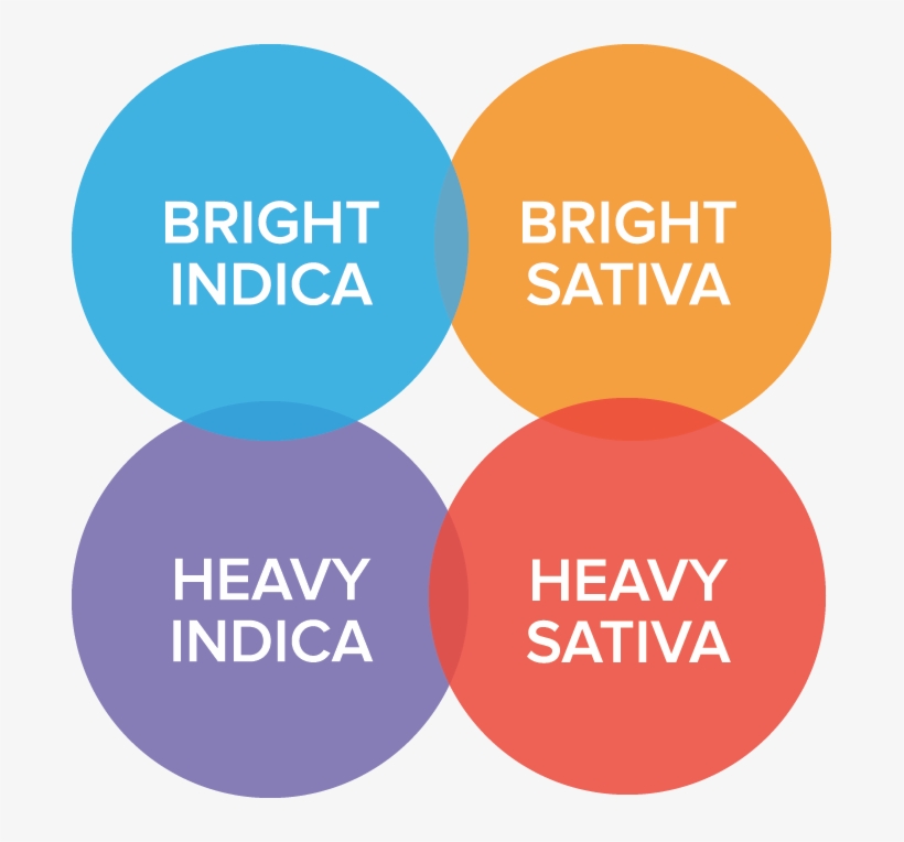 Peakvenn@2x - Maternal And Child Health Journal, transparent png download