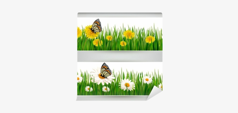 Two Banners With Butterflies And Flowers - Elopol Garnek Średni Emaliowany Motyl 24 Cm Indukcja, transparent png download