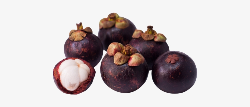 Download Purple Mangosteen Png Image - Mangosteen Hd, transparent png download