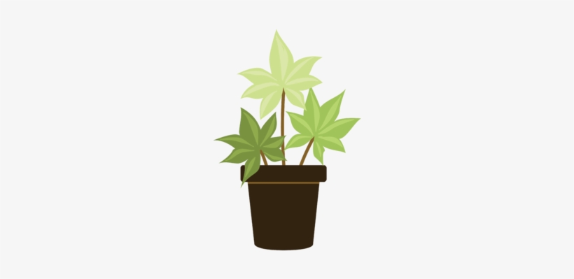 Indica - Flowerpot, transparent png download