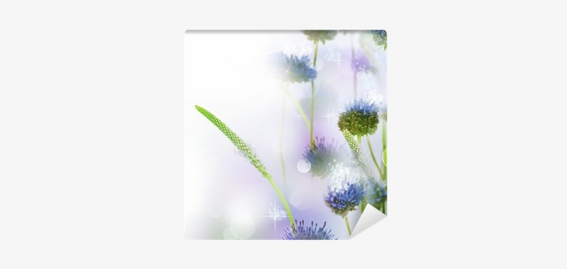 Photography, transparent png download