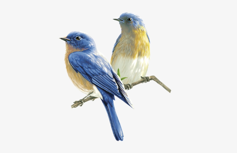 0 13f19a Fb743e29 L - Birds Painting Png, transparent png download