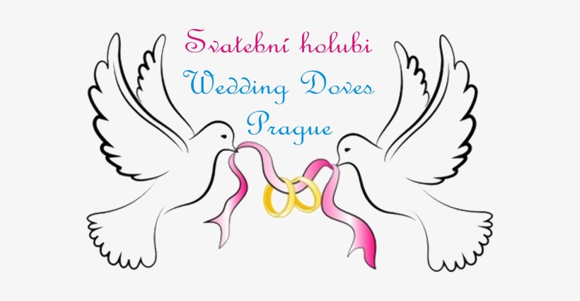 Partners - Dove Of Peace Dove Of Peace Oval Ornament, transparent png download