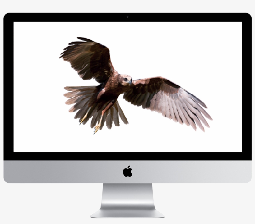 Jaggaer Advantage - Imac 21 5, transparent png download
