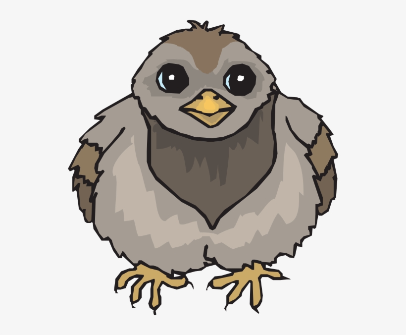 Pigeon Baby Svg Clip Arts 546 X 596 Px, transparent png download