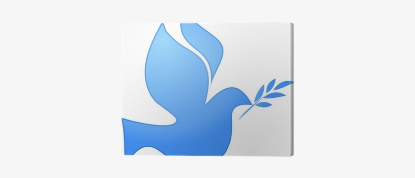 Blue Pigeon On White, Vector Canvas Print • Pixers® - Peace Education, transparent png download